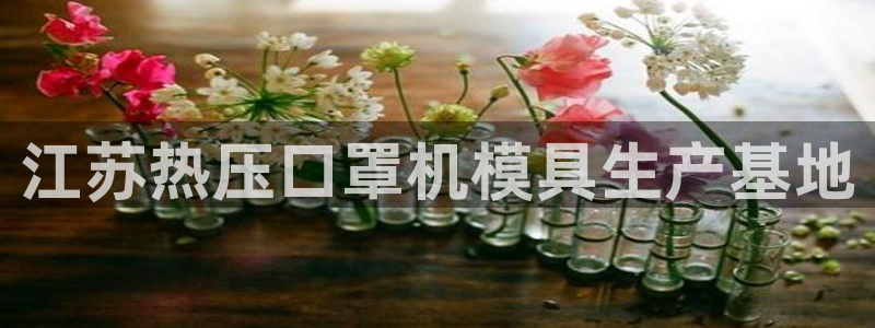 易倍申片说明书