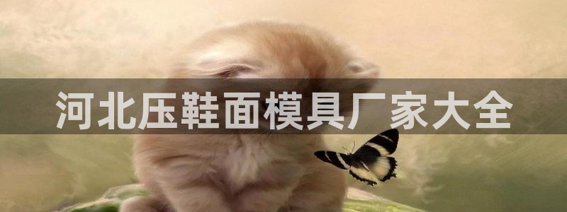 EMC倍频是什么意思