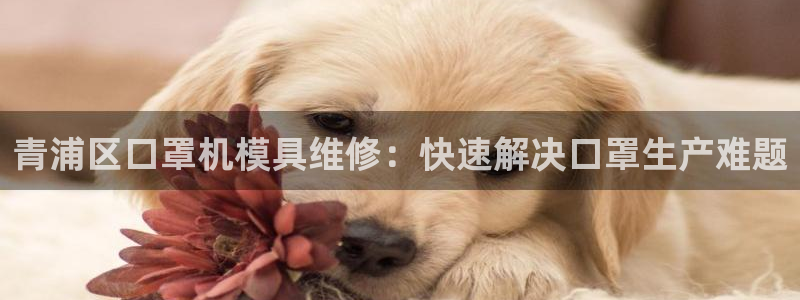 上海易倍投资有限公司