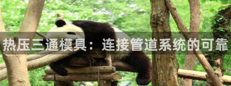 易倍纤代餐粉能减肥吗：热压三通模具：连接管道系统的可靠
