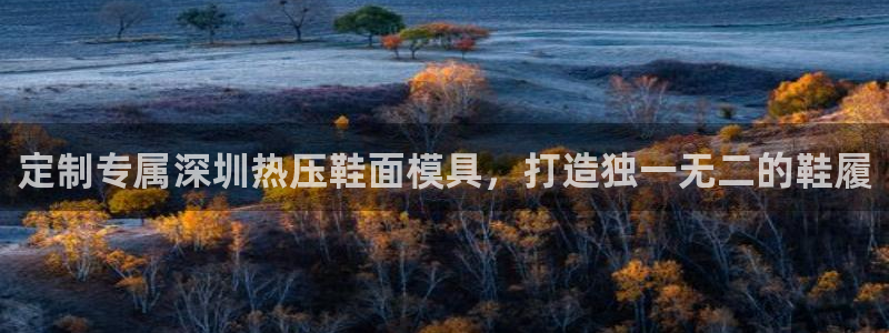 易倍纤怎么使用：定制专属深圳热压鞋面模具，打造独一无二的