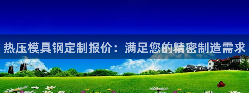 易倍申是进口药吗：热压模具钢定制报价：满足您的精密制造需