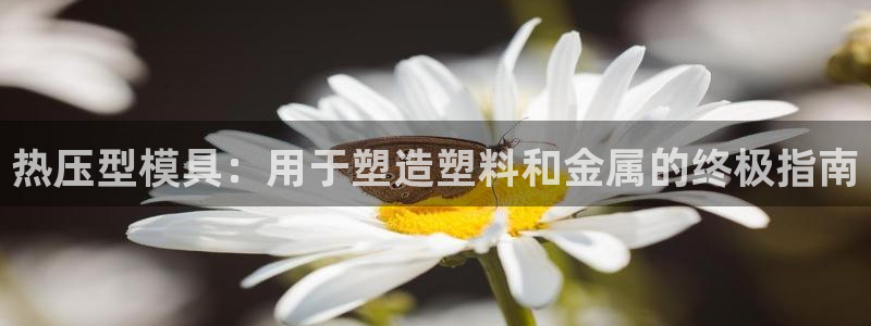 易倍达怎么样：热压型模具：用于塑造塑料和金属的终极指南