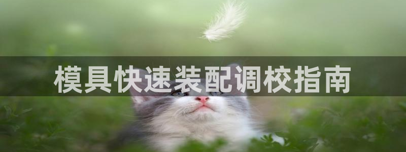 EMC易倍让身份验证：模具快速装配调校指南