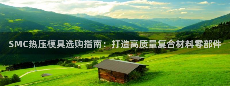 易倍英语官方网站登录：SMC热压模具选购指南：打造高质量