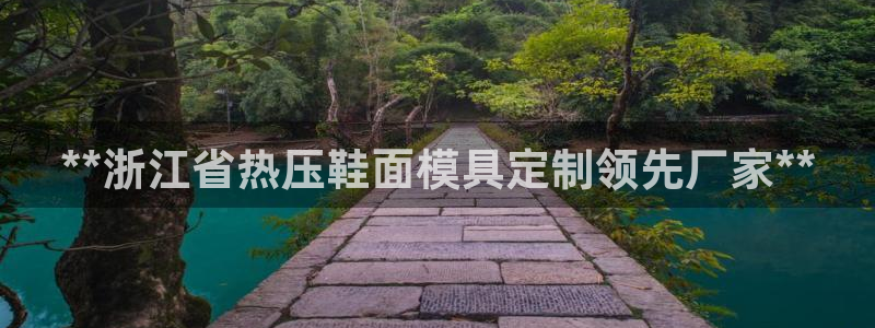 易倍纤怎么使用：**浙江省热压鞋面模具定制领先厂家**