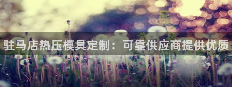 易倍网络技术有限公司是干嘛的