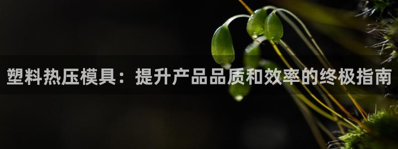 易倍emc全站：塑料热压模具：提升产品品质和效率的终极指