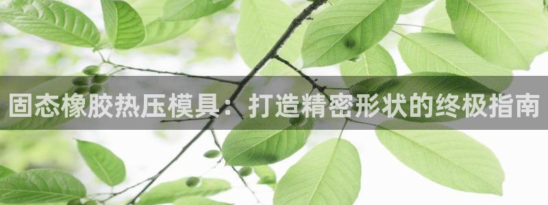 emc易倍官方下载：固态橡胶热压模具：打造精密形状的终极
