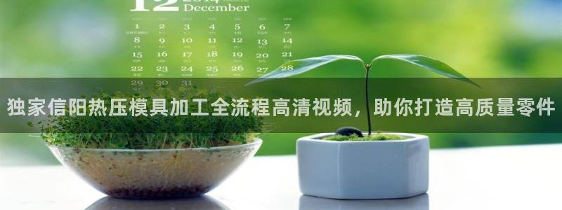 易倍单词官方网站：独家信阳热压模具加工全流程高清视频，助