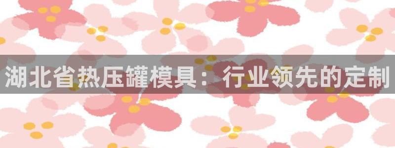 易倍科华生物科技有限公司：湖北省热压罐模具：行业领先的定