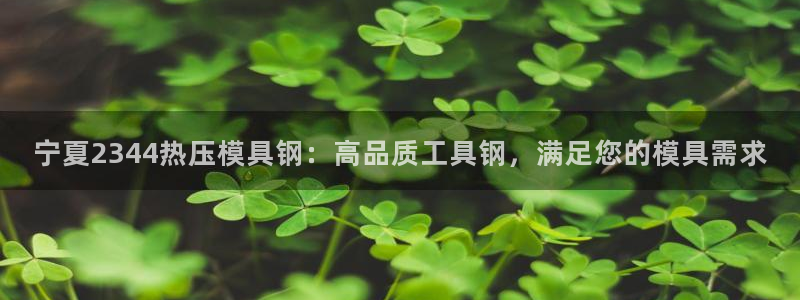 易倍单词官网下载：宁夏2344热压模具钢：高品质工具钢，