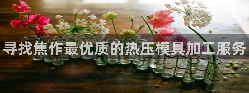 emc易倍的服务优势：寻找焦作最优质的热压模具加工服务