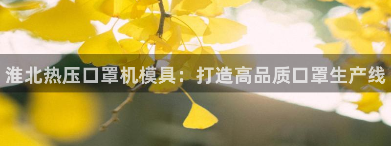 易倍网络技术有限公司：淮北热压口罩机模具：打造高品质口罩