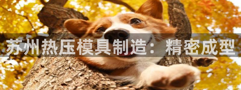 易倍单词如何下载：苏州热压模具制造：精密成型