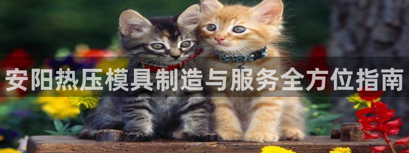 易倍达科技有限公司：安阳热压模具制造与服务全方位指南