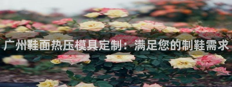 emc全站易倍