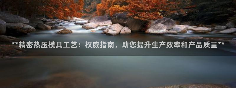 易倍emc网址网页版本登陆：**精密热压模具工艺：权威指