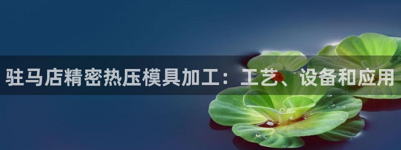 emc易倍账号异常：驻马店精密热压模具加工：工艺、设备和