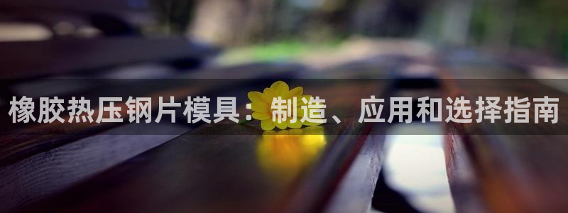 易倍申怎么样：橡胶热压钢片模具：制造、应用和选择指南