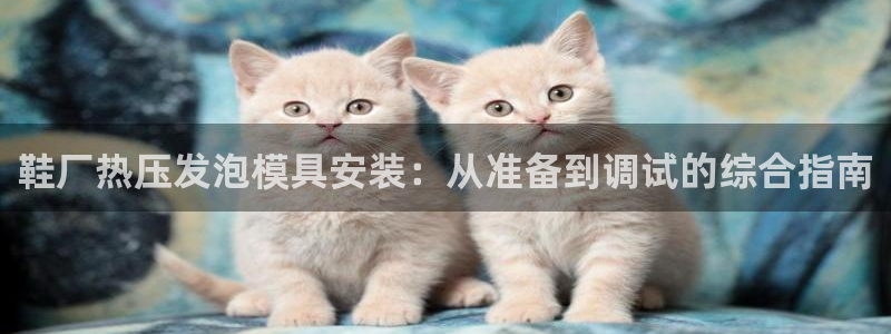 易倍下载：鞋厂热压发泡模具安装：从准备到调试的综合指南