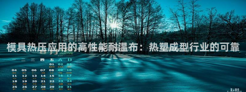 易倍app网站：模具热压应用的高性能耐温布：热塑成型行业