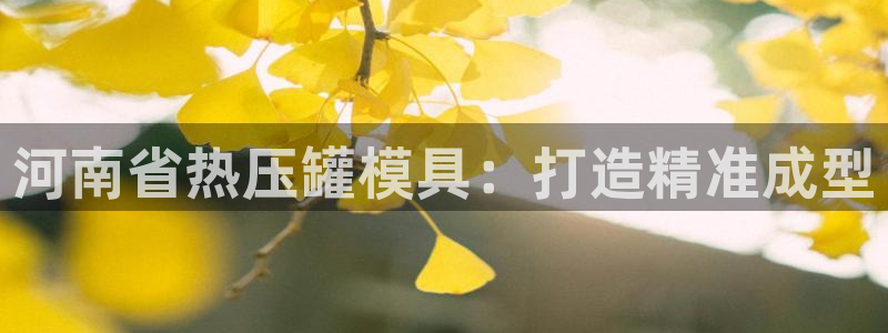 emc网页版