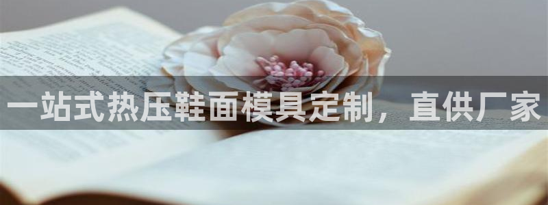 emc易倍下载
