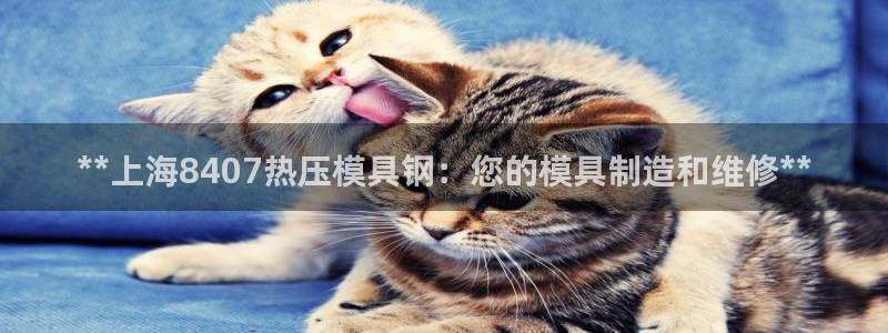 易倍企业管理软件怎么样