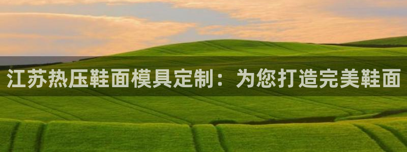 EMC易倍让身份验证：江苏热压鞋面模具定制：为您打造完美