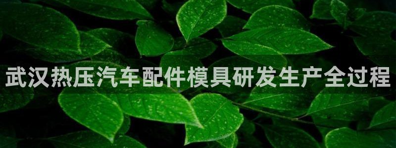 emc备份软件