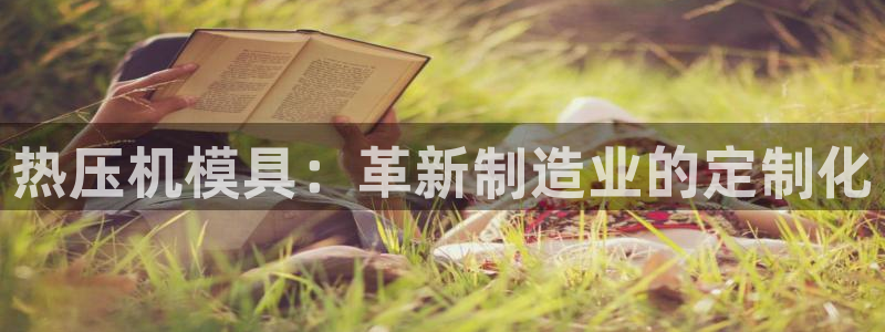 emc全站下载地址：热压机模具：革新制造业的定制化