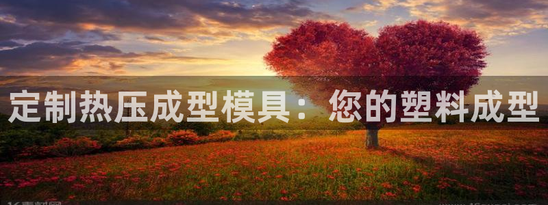 易倍达怎么样：定制热压成型模具：您的塑料成型