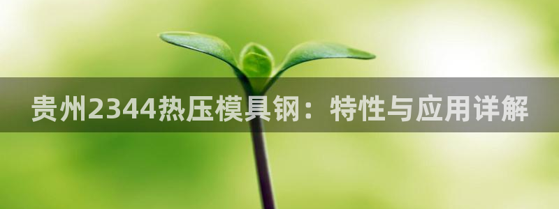 易倍单词官方网站的