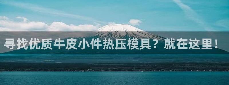 emc易倍穆里尼奥：寻找优质牛皮小件热压模具？就在这里！