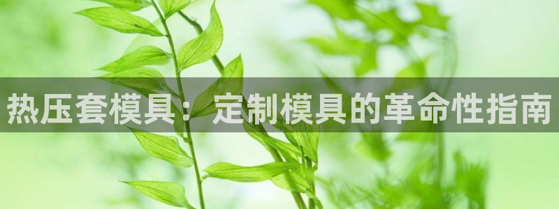 emc全站易倍：热压套模具：定制模具的革命性指南