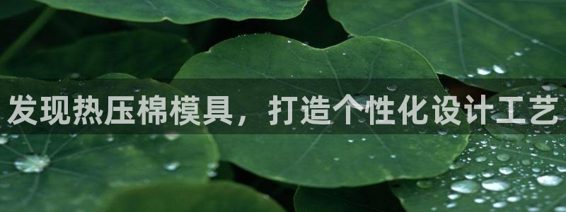 易倍纤代餐粉能减肥吗