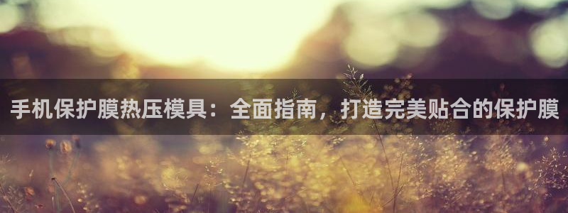 emc易倍出空款：手机保护膜热压模具：全面指南，打造完美