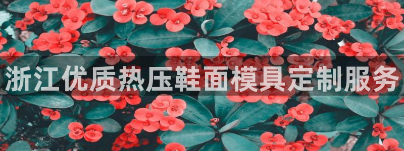 emc易倍官方平台