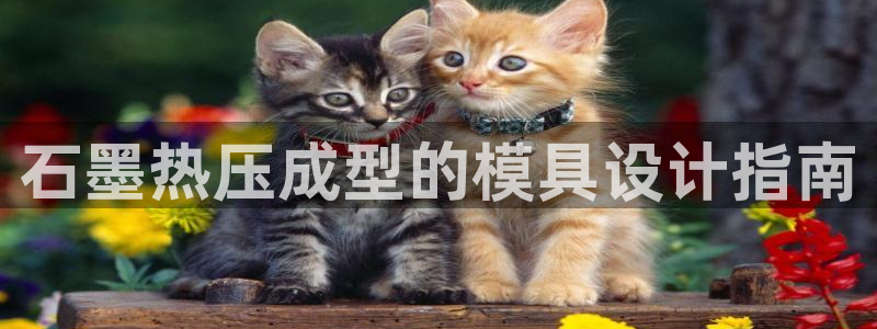 易倍纤奶昔减肥效果怎么样