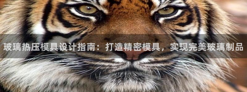 易倍申价格是多少