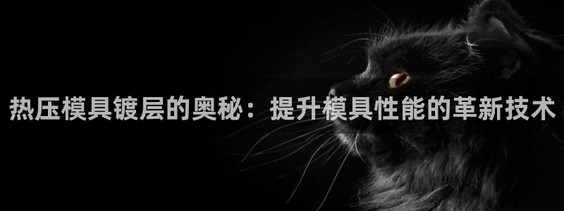 四川易倍易企业管理有限公司