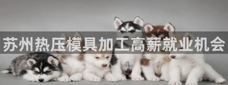 易倍纤代餐粉能减肥吗