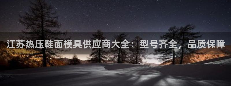 emc易倍ios官网：江苏热压鞋面模具供应商大全：型号齐