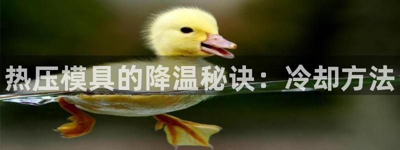 易倍申的价格：热压模具的降温秘诀：冷却方法