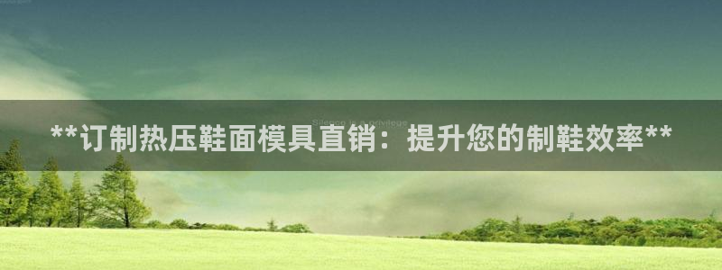 易倍申能长期吃吗：**订制热压鞋面模具直销：提升您的制鞋