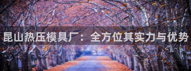 emc易倍的服务优势