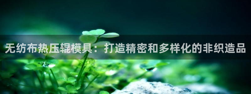 易倍网络技术有限公司是干嘛的