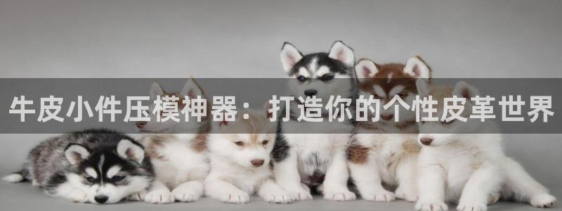 emc软件下载：牛皮小件压模神器：打造你的个性皮革世界