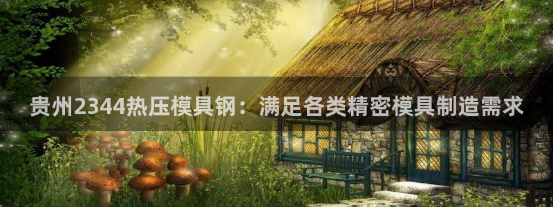 易倍网页版登录：贵州2344热压模具钢：满足各类精密模具
